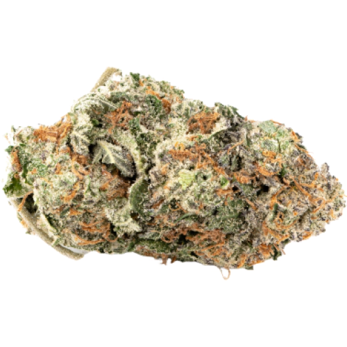 Ever Leaf Dispensary 3 Kings Cannabis Strain