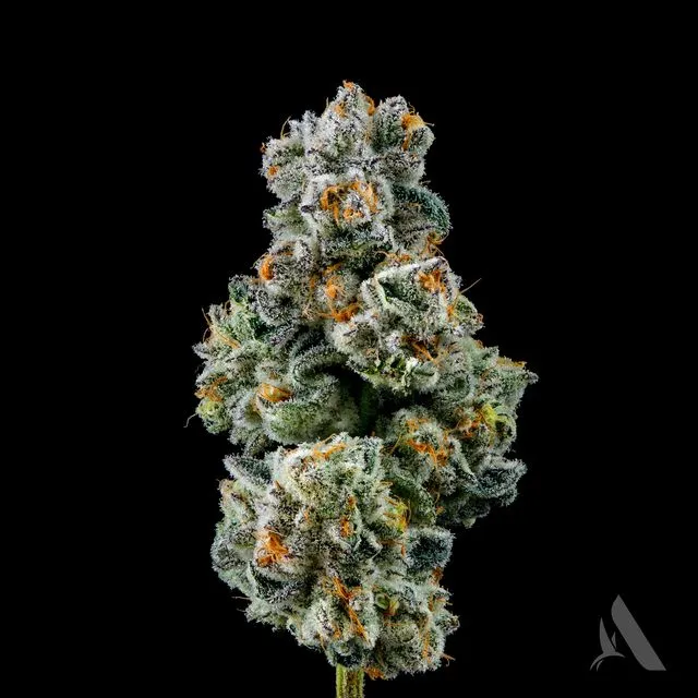 Affinity Grow Gas Breath 3.5g Whole Flower