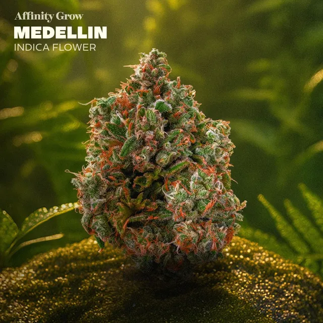 Affinity Grow Medellin 3.5g Whole Flower