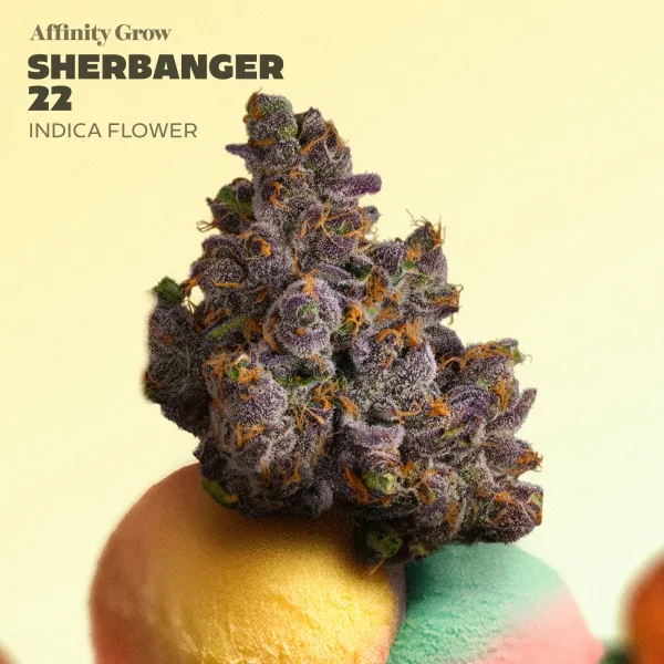 Affinity Grow Sherbanger 22 3.5g Whole Flower