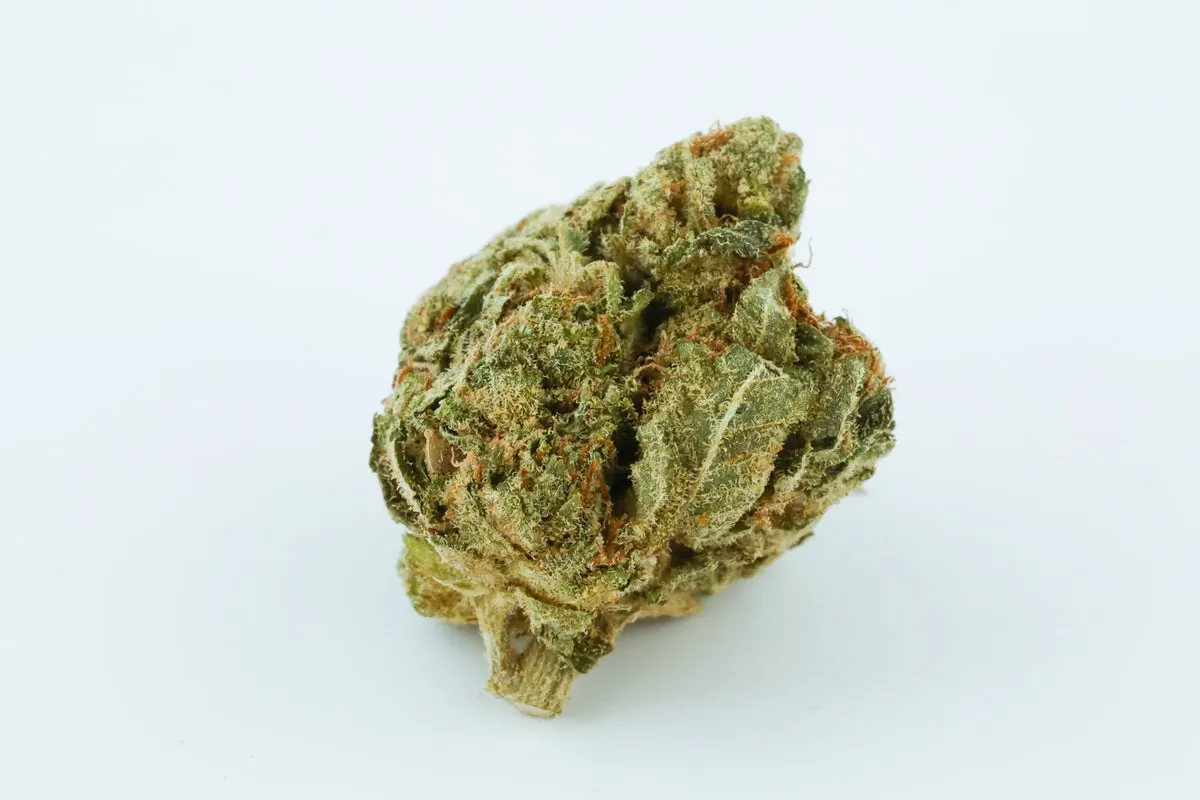 Ever Leaf Dispensary AK-47 Marijuana Strain
