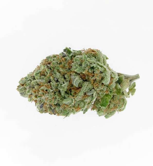 Fresh Cannabis Alien OG Marijuana Strain