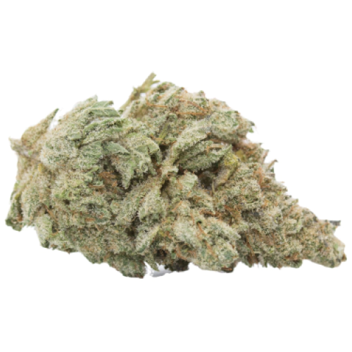 Ever Leaf Dispensary Amnesia Marijuana Strain