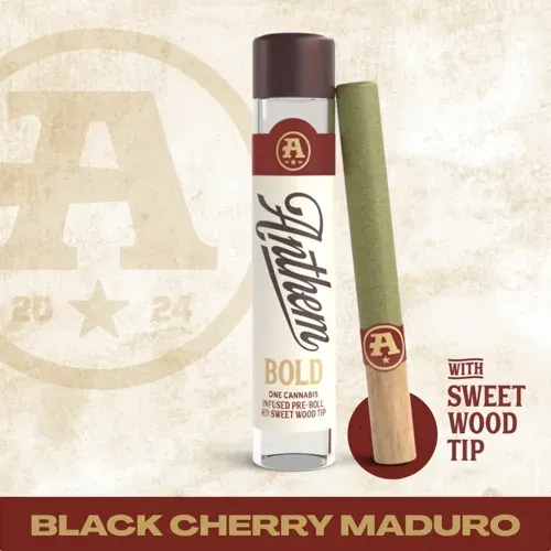 Anthem Bold Wood Tip Infused Black Cherry Maduro Pre-Roll 1g