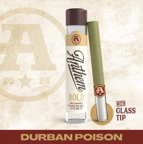 Anthem Durban Poison 1g Infused Preroll