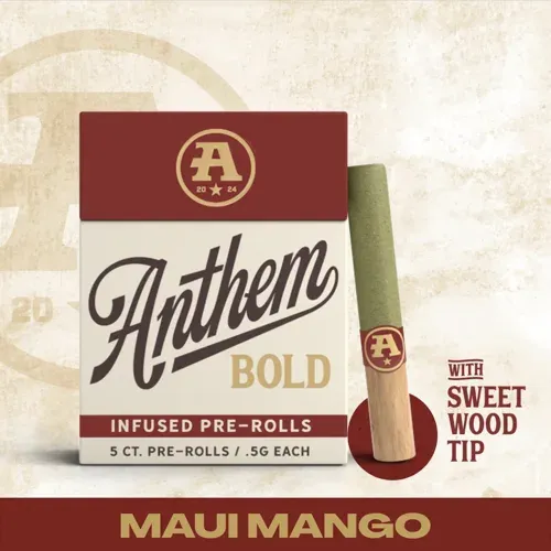Anthem Maui Mango.5g infused Preroll 5pk