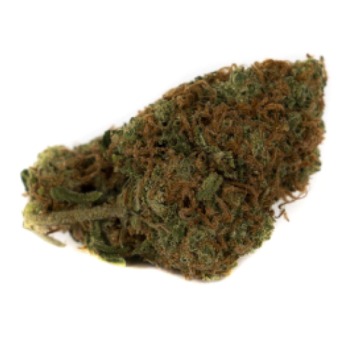 Fresh Cannabis Black D.O.G. Weed Strain