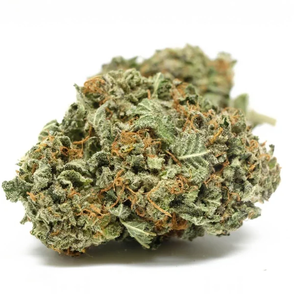 Fresh Cannabis Black Domina Cannabis Strain