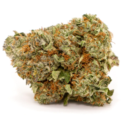 Fresh Cannabis Blueberry Cheesecake Strain