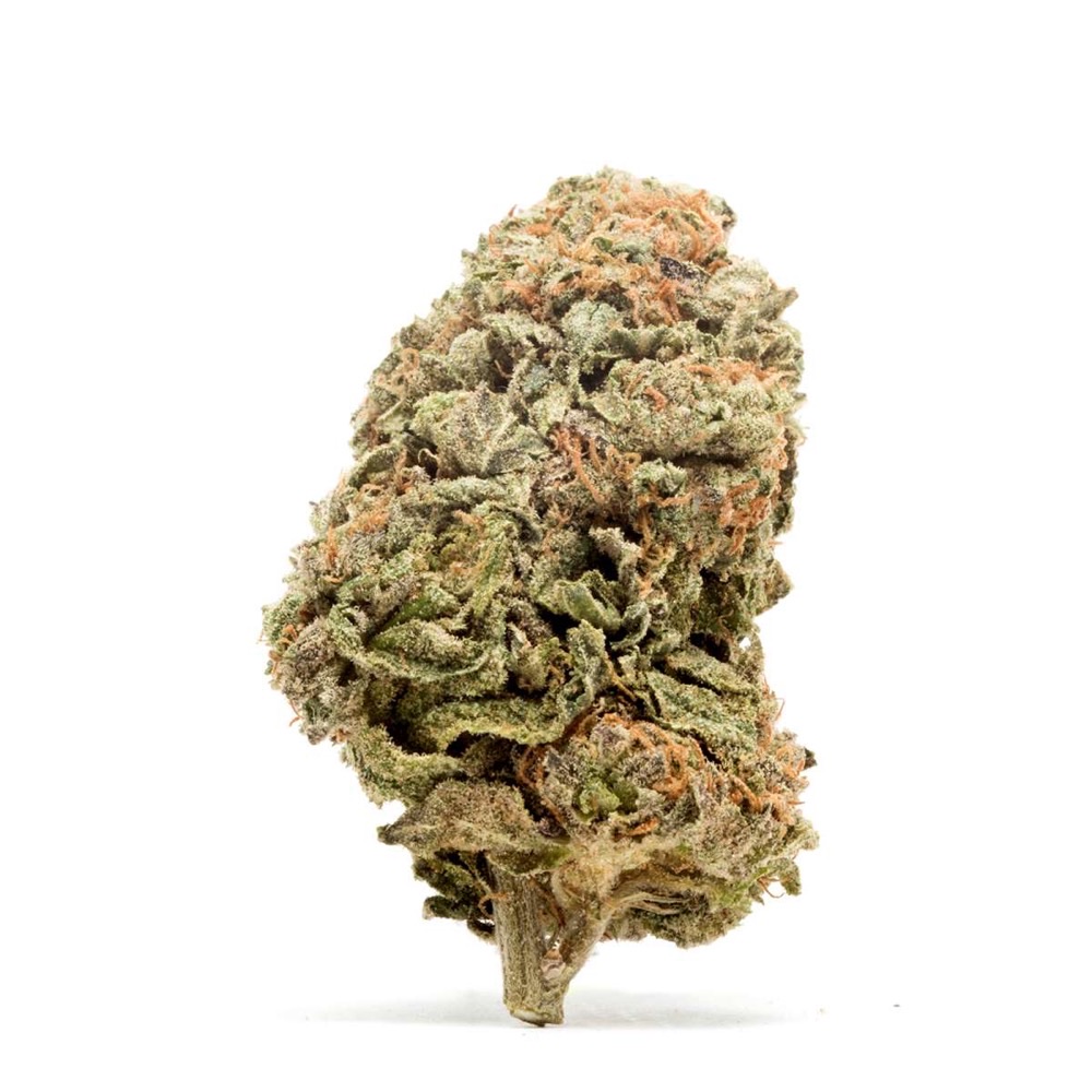 Fresh Cannabis Blueberry Kush Marijuana Strain UK