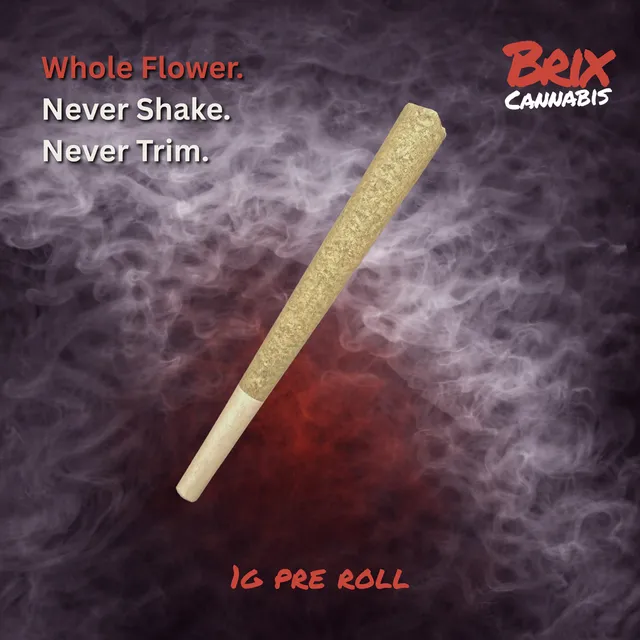 Brix Gooey Bubbles 1g Pre-Roll