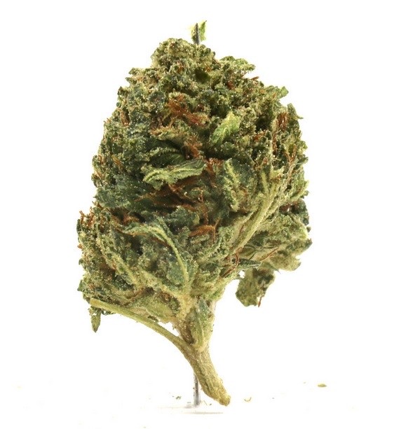 Fresh Cannabis Bubba Kush Delta 8 Hemp Flower