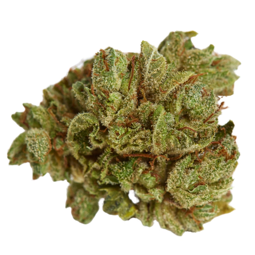 Ever Leaf Dispensary Cherry Gorilla Cannabis Strain