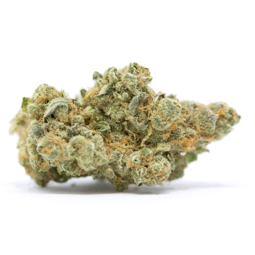 Fresh Cannabis Clementine Marijuana Strain
