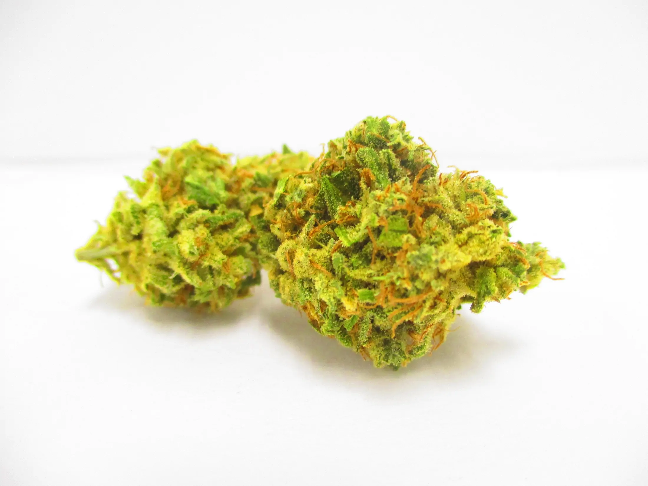 Ever Leaf Dispensary Colombian Gold Weed Strain