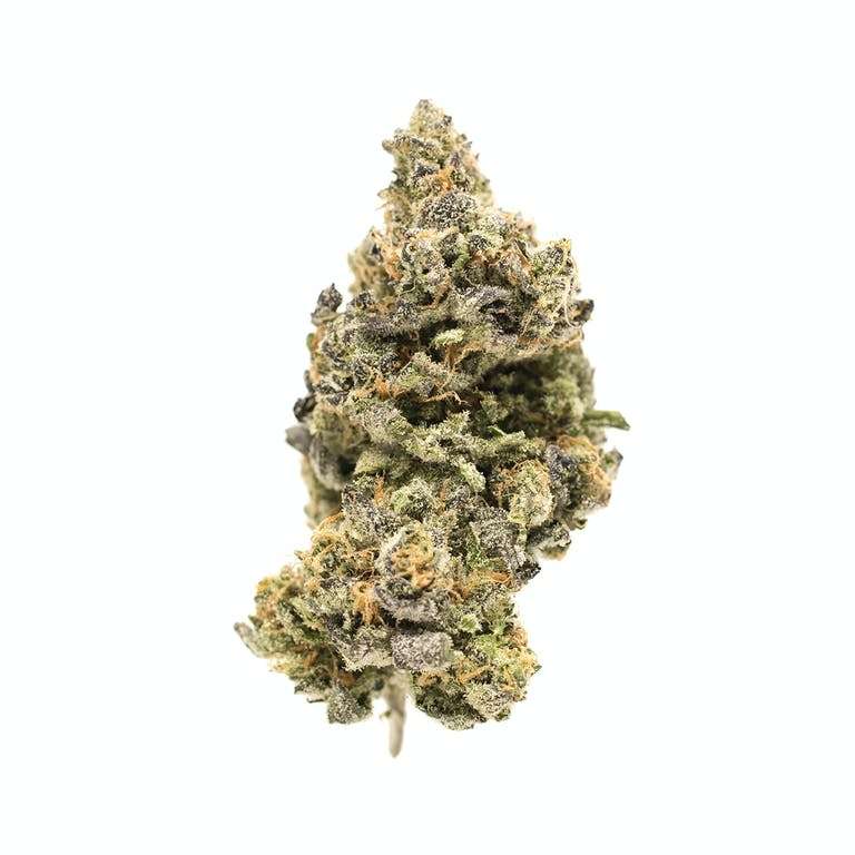 Fresh Cannabis Cookie Glue Marijuana Strain