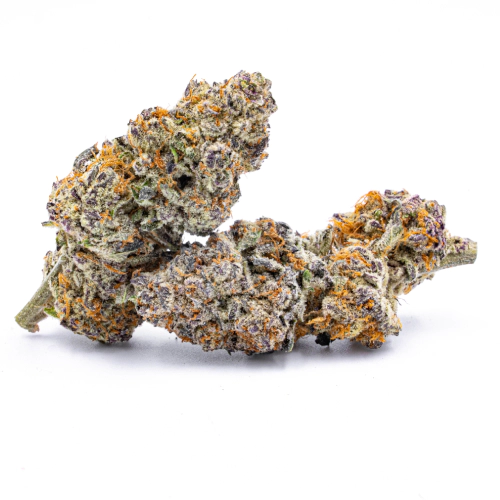 Fresh Cannabis Cookie Monster Marijuana Strain