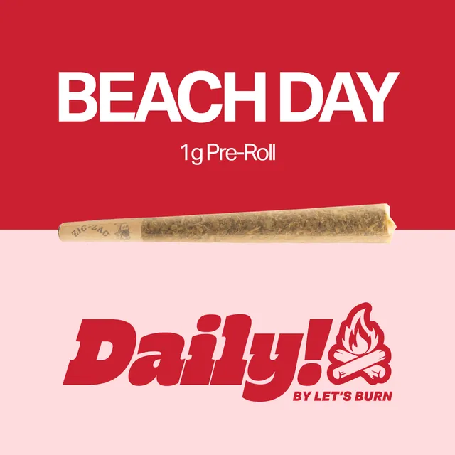 Daily! Beach Day 1g Pre-Roll