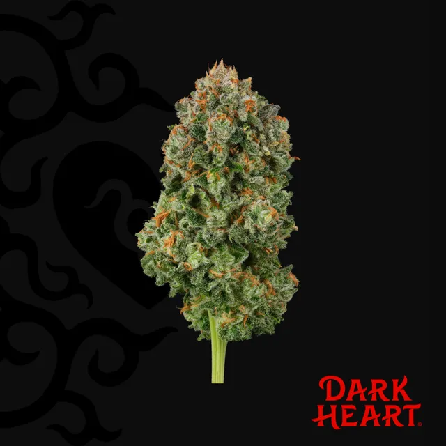 Dark Heart Blackened Blue 3.5g Whole Flower