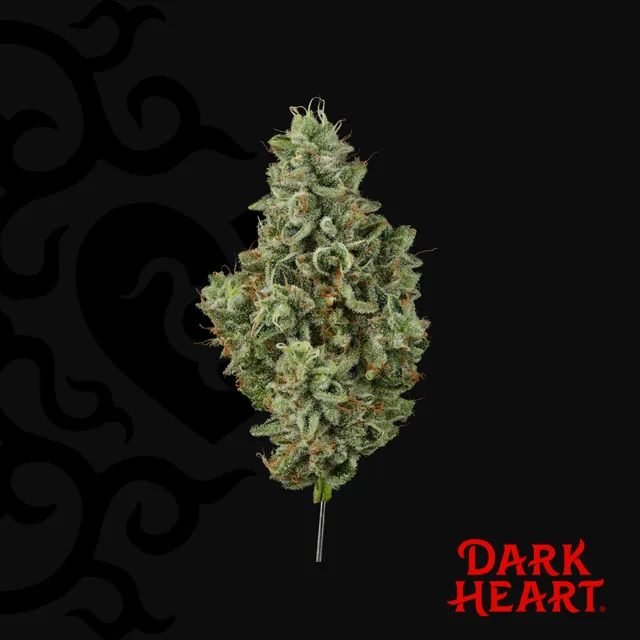 Dark Heart Grandma's House 3.5g Whole Flower