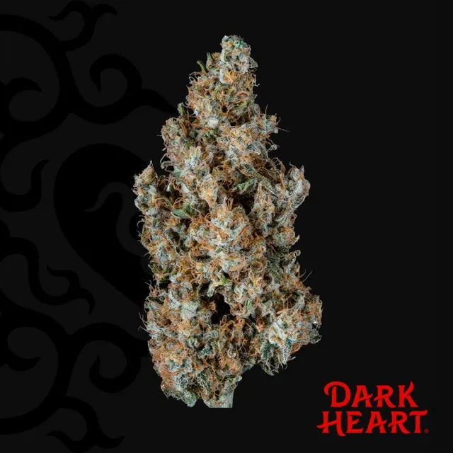 Dark Heart Titan Express 3.5g Whole Flower