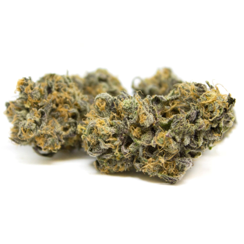 Fresh Cannabis Dark Star Marijuana Strain