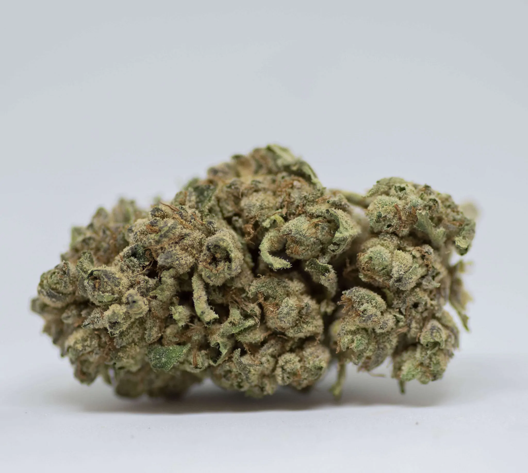 Ever Leaf Dispensary Deadhead OG Marijuana Strain
