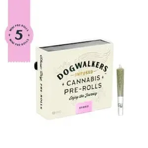Dogwalkers Gas Guzzler.45g Infused Preroll 5pk
