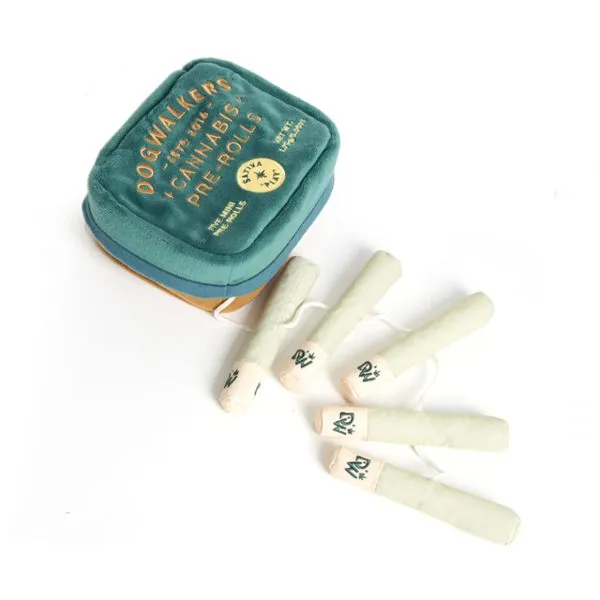 Dogwalkers Plush Pet Toy Tin Squeeker - Green