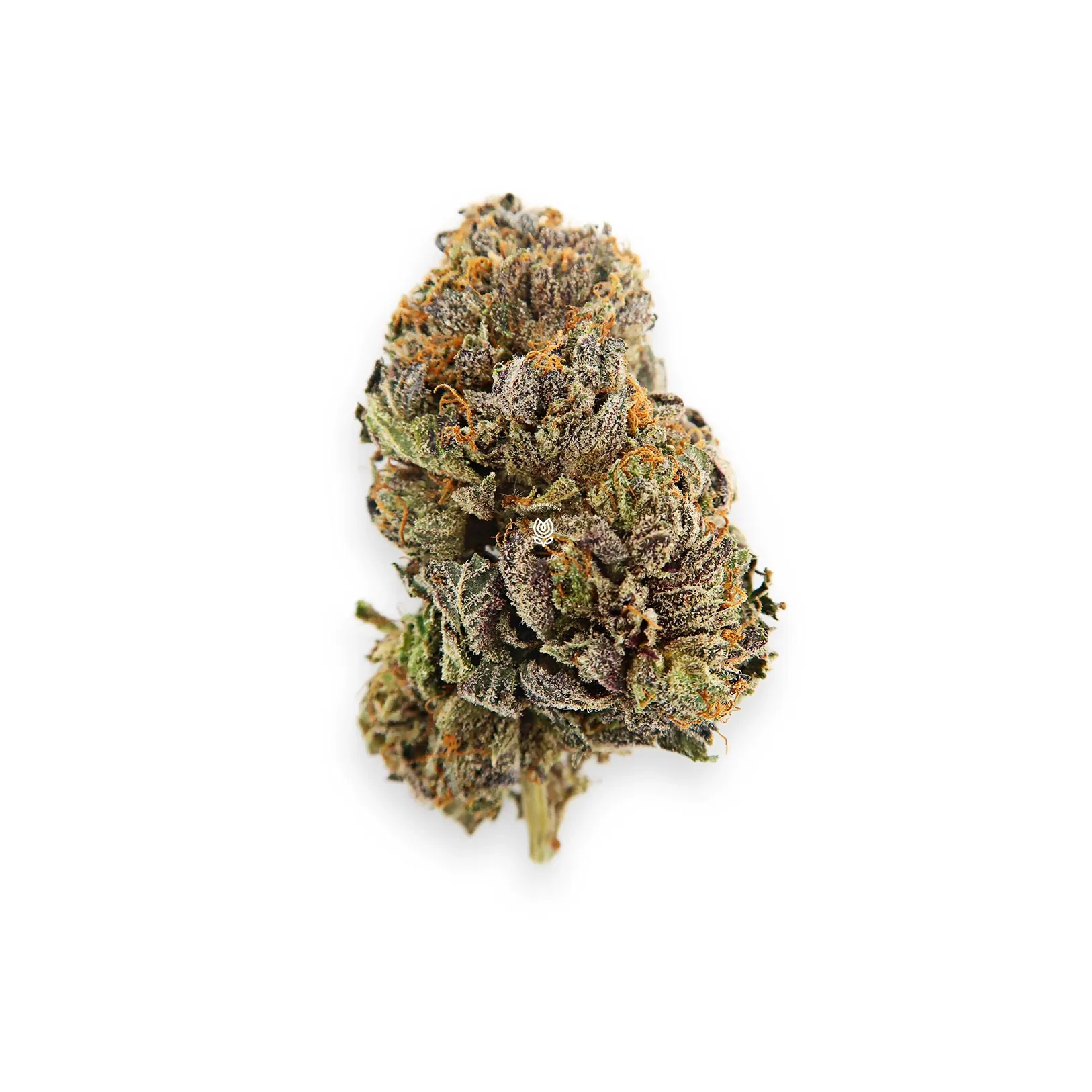 Ever Leaf Dispensary Dr. Who Marijuana Strain UK