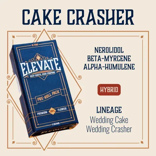Elevate Cake Crasher.5g Preroll 10pk