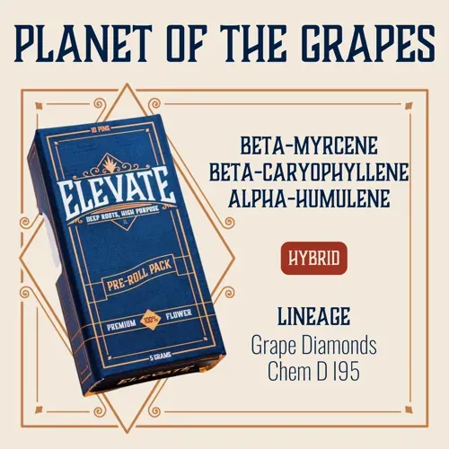 Elevate Planet of the Grapes.5g Preroll 10pk