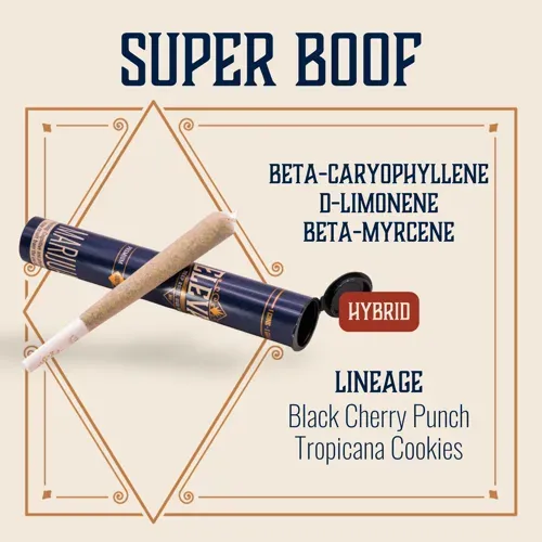 Elevate Temptation F2 1g Preroll