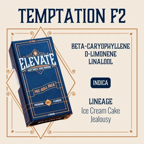 Elevate Temptation F2.5g Preroll 10pk