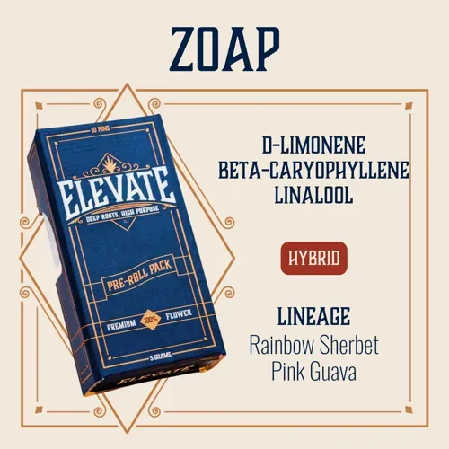 Elevate Zoap.5g Preroll 10pk