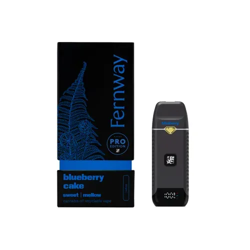 Fernway Blueberry Cake 1g Disp Vape