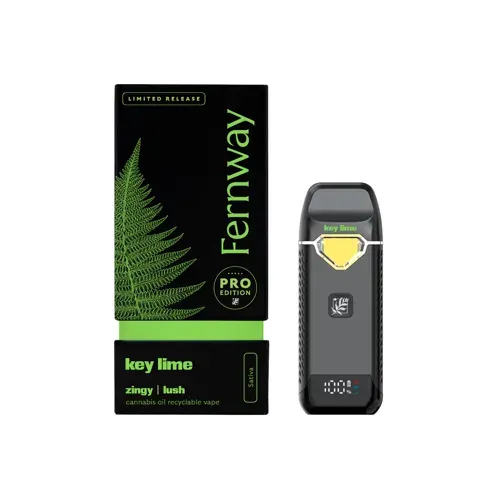Fernway Key Lime 2g Disp Vape