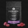 FloraCal Farms FloraCal Wild Berry Live Rosin Gummies