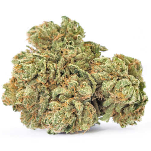 Fresh Cannabis Fruit Punch Cannabis Strain