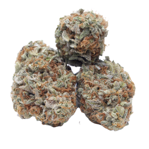 Ever Leaf Dispensary Ghost Train Haze Strain