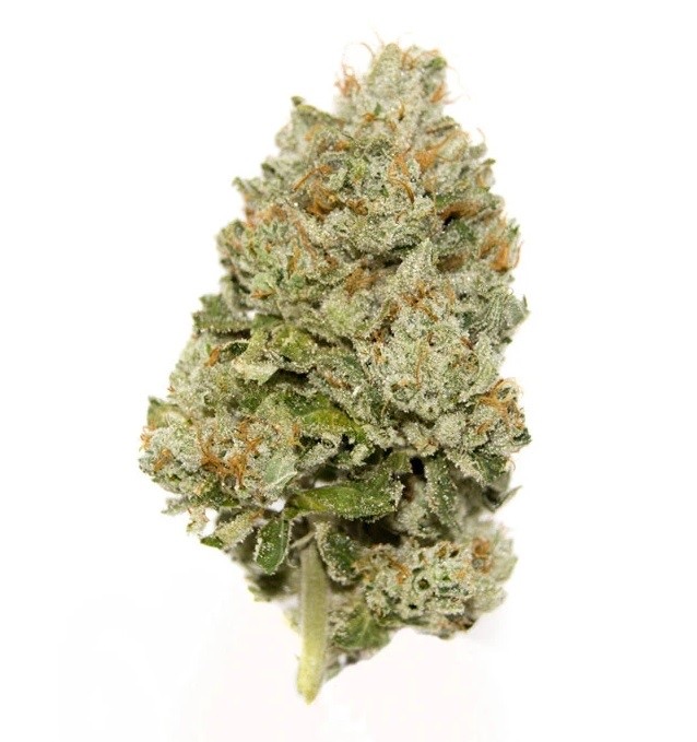 Ever Leaf Dispensary Girl Scout Cookies Delta-8 THC Flower