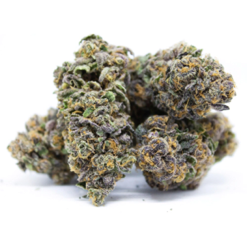 Fresh Cannabis God’s Gift Marijuana Strain