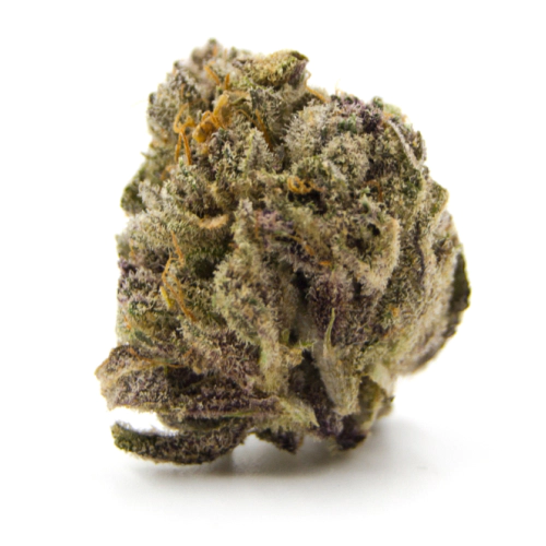 Fresh Cannabis Golden Pineapple Cannabis Strain