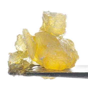 Fresh Cannabis Grapes N Cream Live Rosin Diamond
