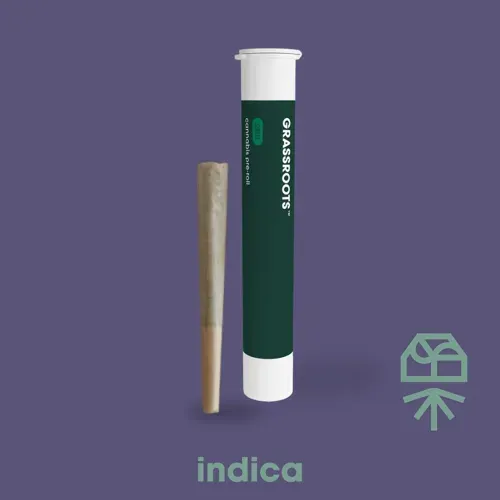 Grassroots Golden Sands 1g Preroll