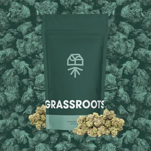 Grassroots Zesty Garlic Cookies 14g Popcorn