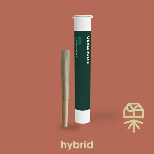 Grassroots Zesty Garlic Cookies 1g Preroll