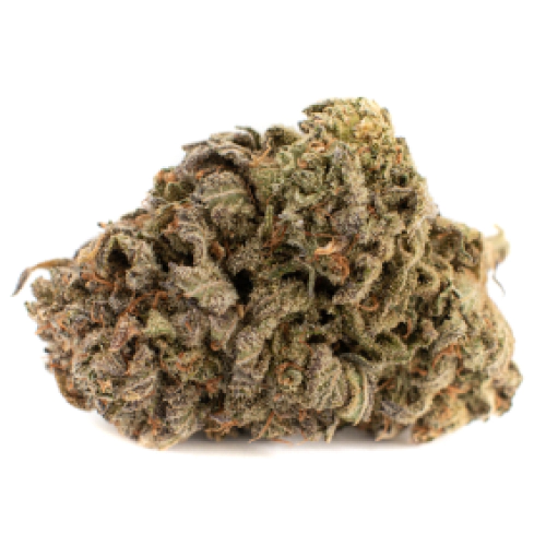 Fresh Cannabis Hog Marijuana Strain