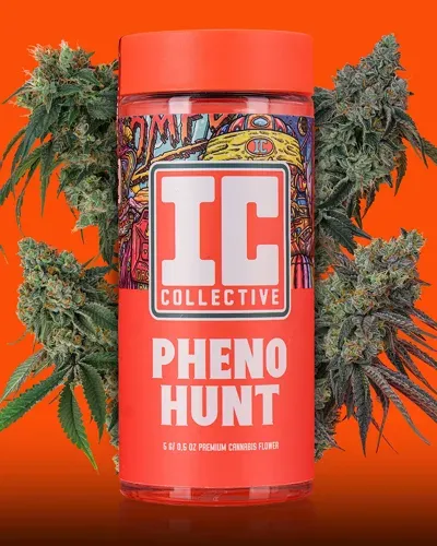 IC Collective Modified Sour 14g Prepack