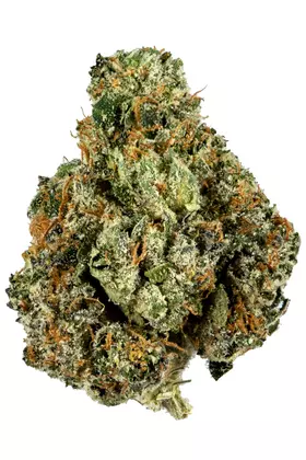 Fresh Cannabis Kush Mountain Weed Flower